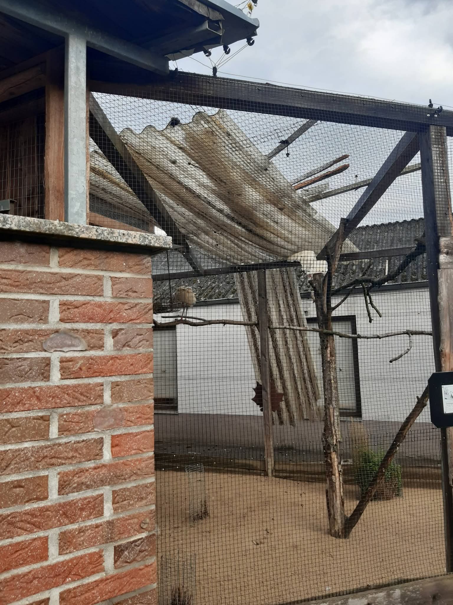 AKTUELL | Unwetter zieht über den Vogelsbergkreis